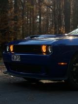 Dodge Challenger GT AWD 3.6 V6 Alpine Kamera TV Alcan. - Dodge Challenger AWD Gebrauchtwagen