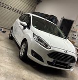Ford Fiesta 1,0 EcoBoost 74kW S/S Titanium Titanium - Ford Fiesta Gebrauchtwagen in Mannheim