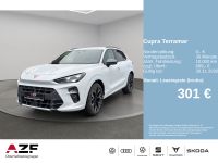 Cupra Terramar - Vorschau Bild 2