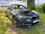 BMW 230i Cabrio Sport Ahk (neu) Leder Autom. 8-fach - BMW 230: I