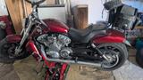 Harley-Davidson V-Rod Muscle - Offers