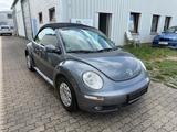 Volkswagen New Beetle 1.6  United Cabriolet - Volkswagen New Beetle: United