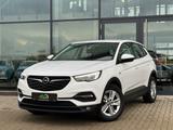 Opel Grandland X Business Edition Kamera Spurhaltea. - Opel Grandland (X) Business-Edition mit Benzin-Antrieb
