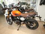 Triumph Scrambler 400X sofort verfügbar - TRIUMPH SCRAMBLER 400 X