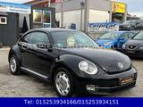 Volkswagen Beetle 1,2 TSI Cup,KLIMAAUTOM.,SHZ,PDC,TEMPOMAT - Volkswagen Beetle CUP mit Benzin-Antrieb