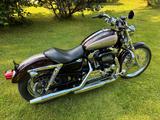 Harley-Davidson XL 1200 Custom Sportster - HARLEY-DAVIDSON 2007 SPORTSTER 1200