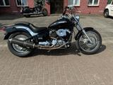 Yamaha XVS 650 Dragstar Drag Star - Offers