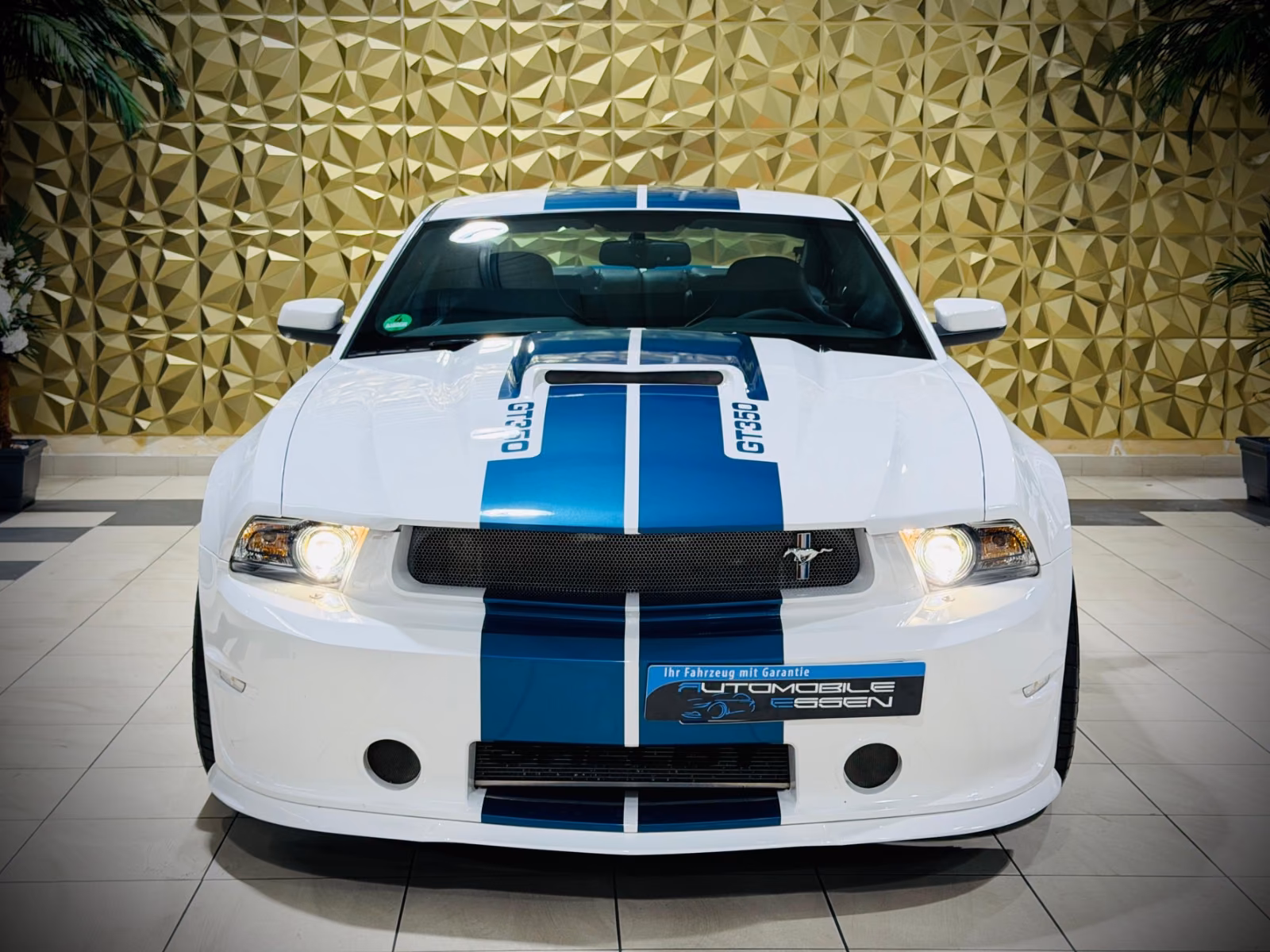 Ford Mustang Shelby American GT 350|624PS|CSM|SAMMLER