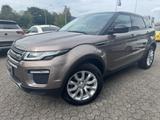 Land Rover Range Rover Evoque 2.0 TD4/GAR/PANO/LEDER/Top! - Land Rover: G4