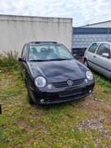 Volkswagen Lupo 1.0 COMFORTLINE Comfortline - Volkswagen Lupo: Comfortline