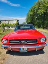 Ford Mustang Convertible 289 Cabrio elektr.Verdeck - Ford Mustang aus 1965 mit Benzin-Antrieb: Cabrio
