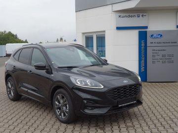 Bild 2 Ford Kuga 1.5 EB ST-Line X,NAVI,SHZ v+h