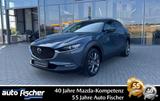 Mazda CX-30 2.0 (186PS) Autom. Selection Des-P. Prem-P - Mazda CX-30 Gebrauchtwagen in Frankfurt