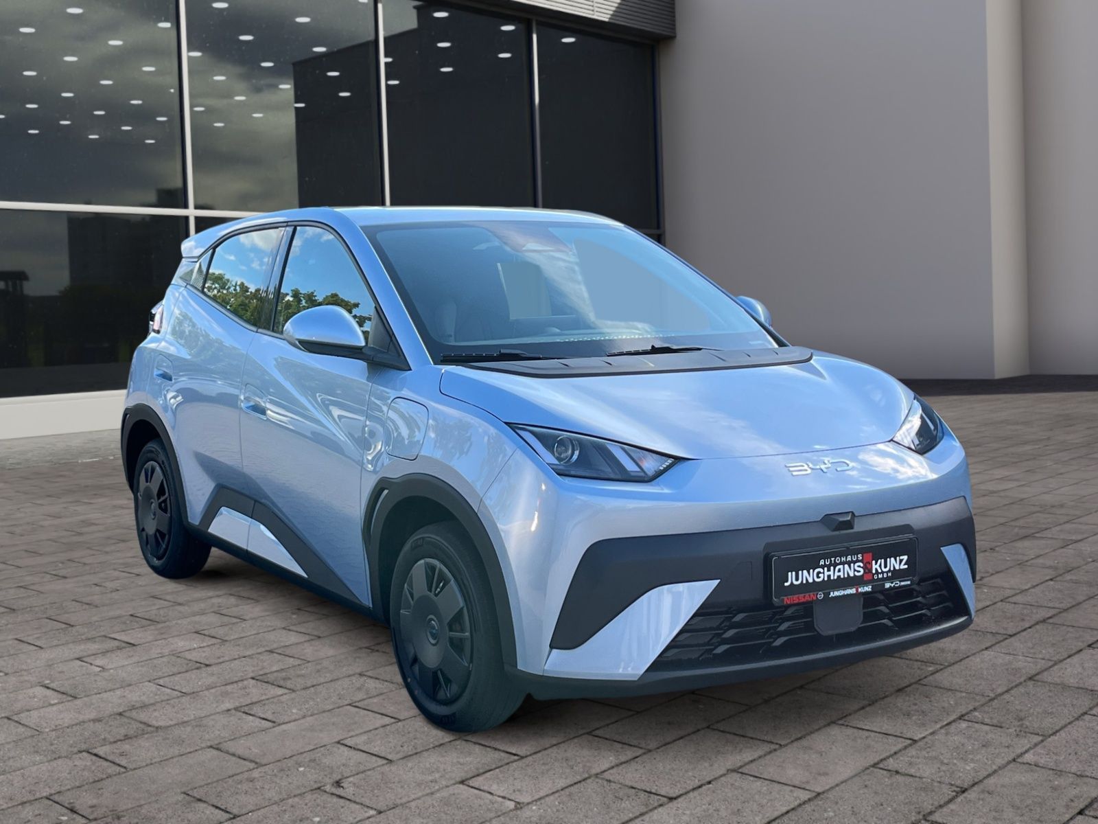 BYD DOLPHIN SURF