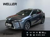 Lexus UX 250h Style Edition *Bi-LED*ACC*CAM*SHZ*CarPla - Lexus UX Gebrauchtwagen