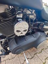 Harley-Davidson FXDF Dyna Fat Bob - Angebote