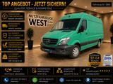 Mercedes-Benz Sprinter 316 CDI*Hoch+Lang*Würth Regale*Garantie - Mercedes-Benz Sprinter: Lang