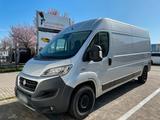 Fiat Ducato Transporter L4H2 Camper Projekt - - Fiat: Transporter