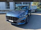 Ford Kuga ST Line 1.5 EcoBlue #7052 - Ford Kuga: 7