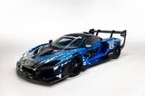 McLaren Senna GTR *PROTOTYPE* - McLaren aus 2017