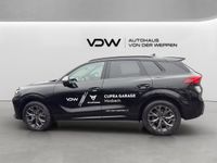 Cupra Terramar - Vorschau Bild 3