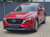 Mazda CX-5 Ad'vantage AWD - Mazda CX-5 in Braunschweig