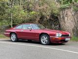 Jaguar XJS - Jaguar XJS Gebrauchtwagen