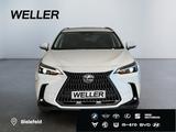 Lexus NX 450h+ E-FOUR Executive Line *AHK*360*Navi*LED - Lexus NX-Serie Jahreswagen