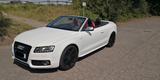 Audi S5 3.0 Cabrio Sommerfahrzeug, Garantie, B&O  - Audi S5 in Stuttgart