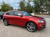 Audi SQ5 3.0 TDI tiptronic quattro - gebrauchte Audi SQ5 aus dem Jahr 2014