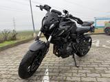 Yamaha MT07 pure 35kw A2 Quickshifter - YAMAHA MT 07 PURE