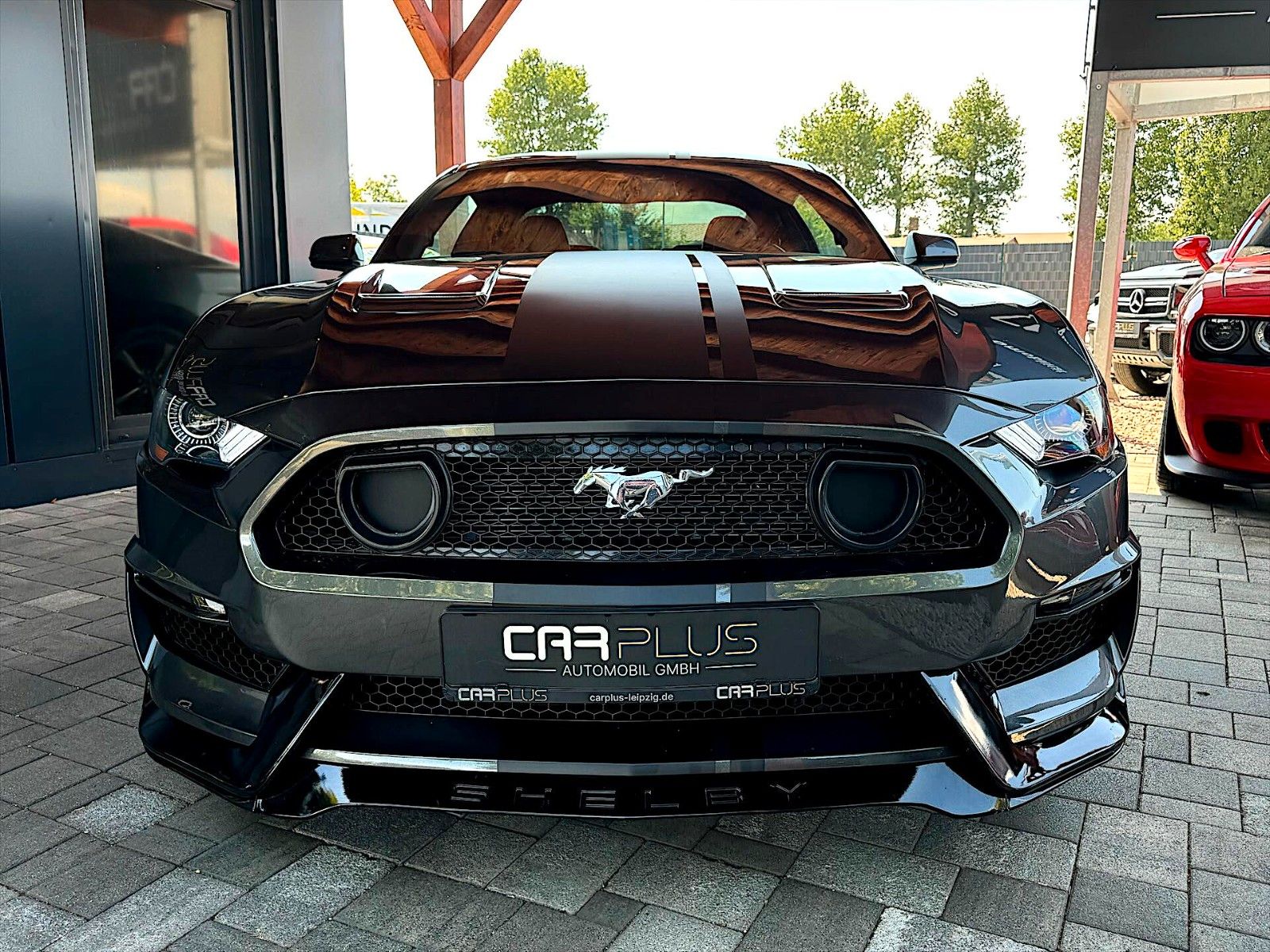 Fahrzeugabbildung Ford Mustang Shelby GT Coupe Autom. Performance LED