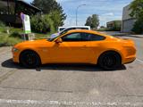 Ford Mustang GT 5.0 Fastback 2018, PP2, Magne Ride - Ford Mustang: Fastback