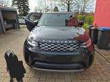 Land Rover Discovery D300 MHEV AWD SE Automatik SE - Land Rover Discovery aus 2022