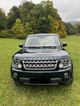 Land Rover Discovery 3.0 TDV6 HSE, Traum in Grün-Beige - Land Rover Discovery: Discovery3