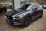 Mazda CX-30 2.5 140PS 6AG Homura Voll-LED Navi Kamera  - Mazda Neuwagen