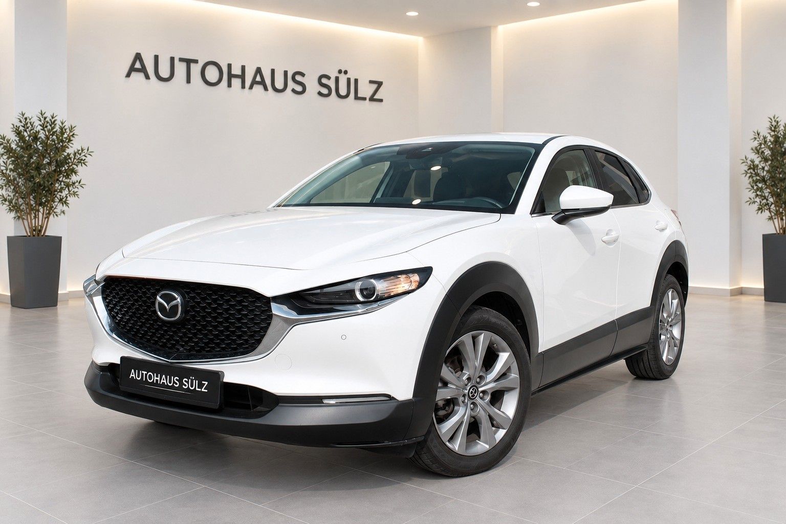 Mazda CX-30 Basis 2WD imagem 2