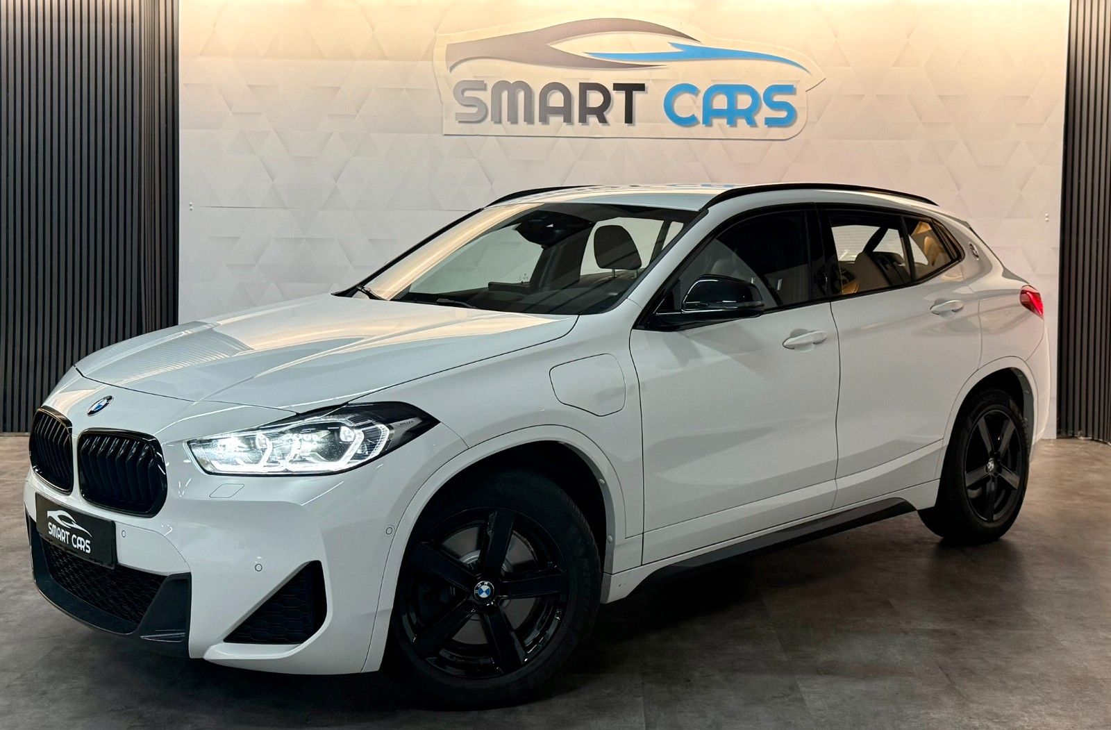 BMW X2 xDrive 25e M Sport*HuD*MwSt.*1.Hand*Memory