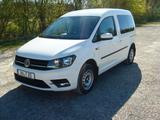 Volkswagen Caddy 2,0TDI 75kW Trendline BlueMotion Trend. .. - Volkswagen Caddy: Bluemotion