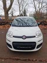 Fiat New Panda 1.2 8V EASY EASY - Fiat New Panda von privat