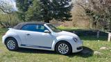 Volkswagen New Beetle - VW New Beetle von privat