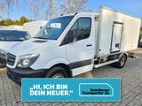 Mercedes-Benz Sprinter 516 cdi THERMO KING V300 MAX|2,2t NUTZL - Mercedes-Benz The
