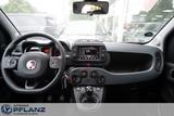 Fiat Panda Cross 1.0 Hybrid *MIRRORSCREEN*LICHT/RE... - Fiat Panda Gebrauchtwagen in Essen