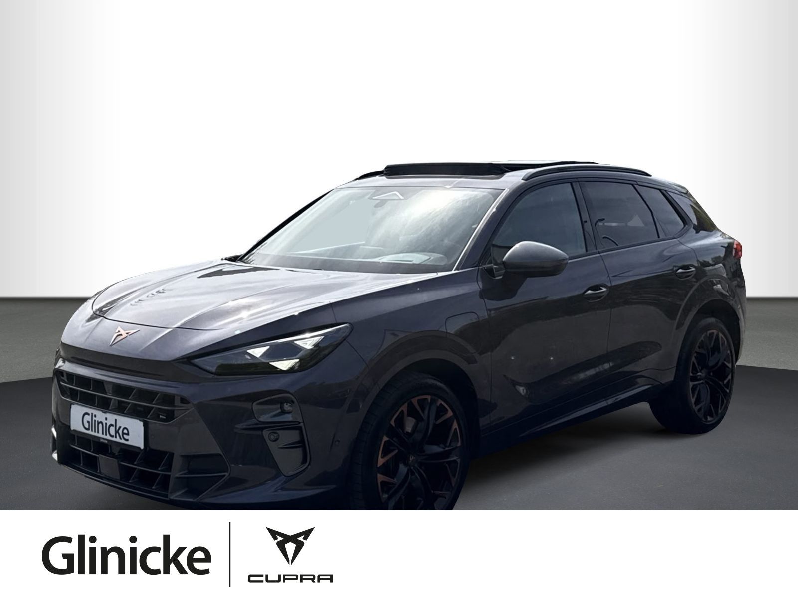 Cupra Terramar VZ 1.5 e-Hybrid DSG, PANO, HEAD-UP, RFK