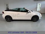 Volkswagen Golf VI Cabriolet Basis BMT 1.6 TDI *Unfallfrei* - Volkswagen Golf mit Diesel-Antrieb: Cabrio, 1.6