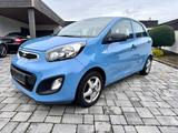 Kia Picanto Vision Garmin Navi* 8Fach Bereift WR-SR - Kia Picanto vision Gebrauchtwagen