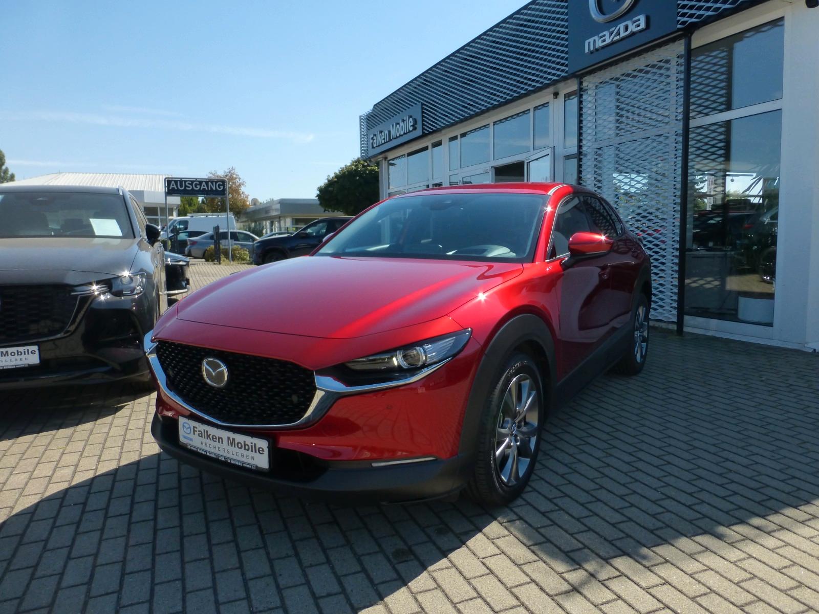 Mazda CX-30 Selction *KAMERA, DAB, MATRIX-LED-SW*