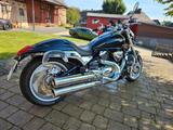 Suzuki VZ 1500 M Intruder - SUZUKI VZ 1500