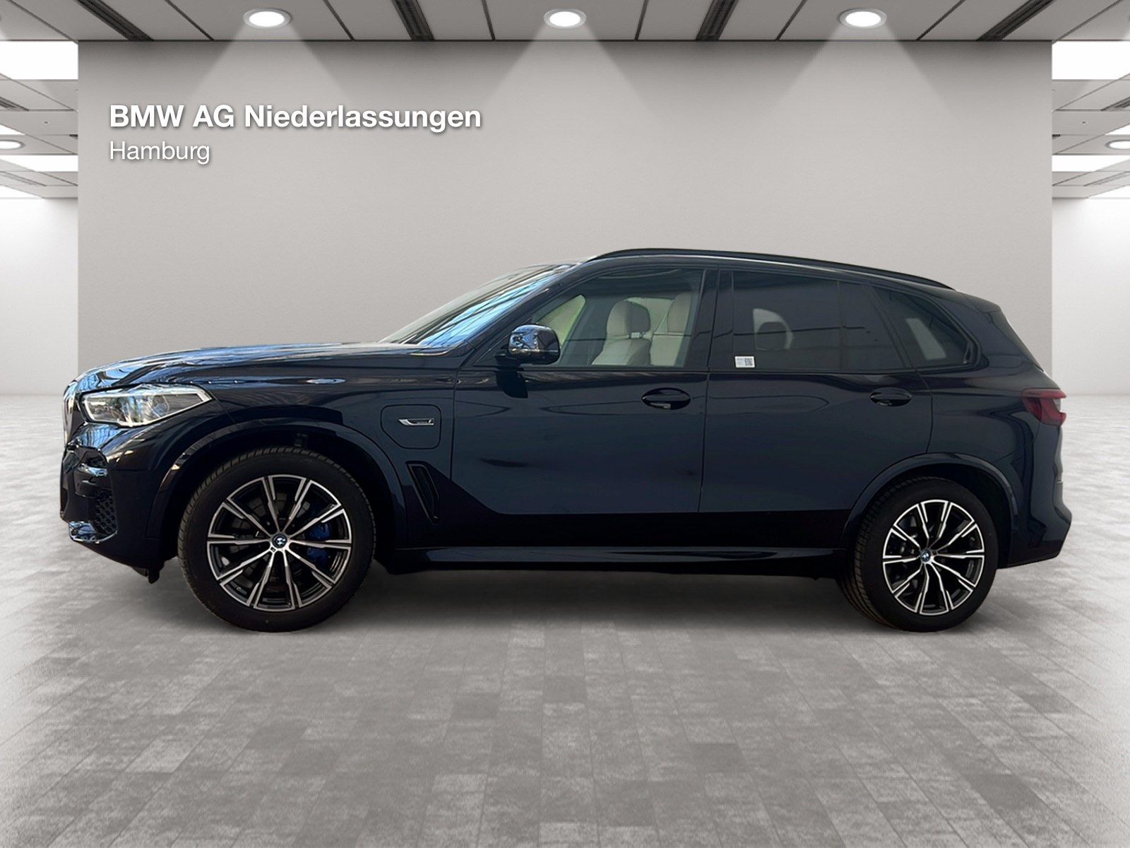 BMW X5 xDrive45e M Sport Massage Driv.Assist.Prof imagem 2