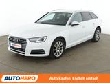 Audi A4 2.0 TDI Sport*NAV*XENON*TEMPO*360*VC*PDC*SHZ* - Audi A4: Weiß